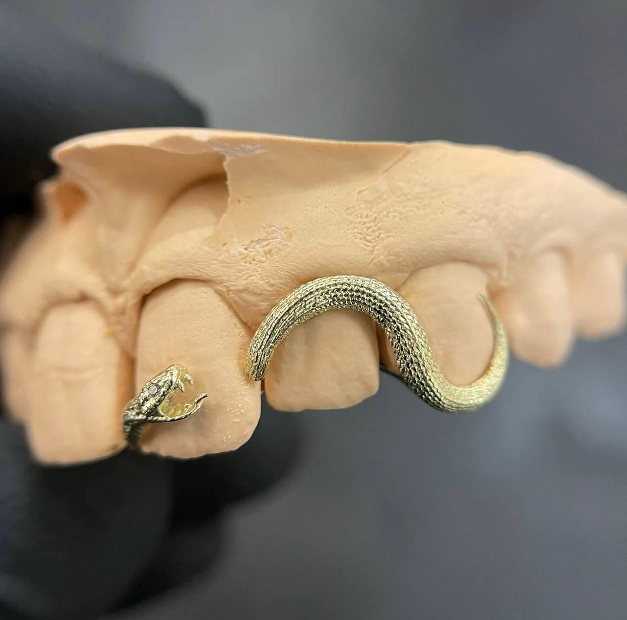 Custom Snake Grillz: Silver or Gold Snake Teeth Grill - CAD Design