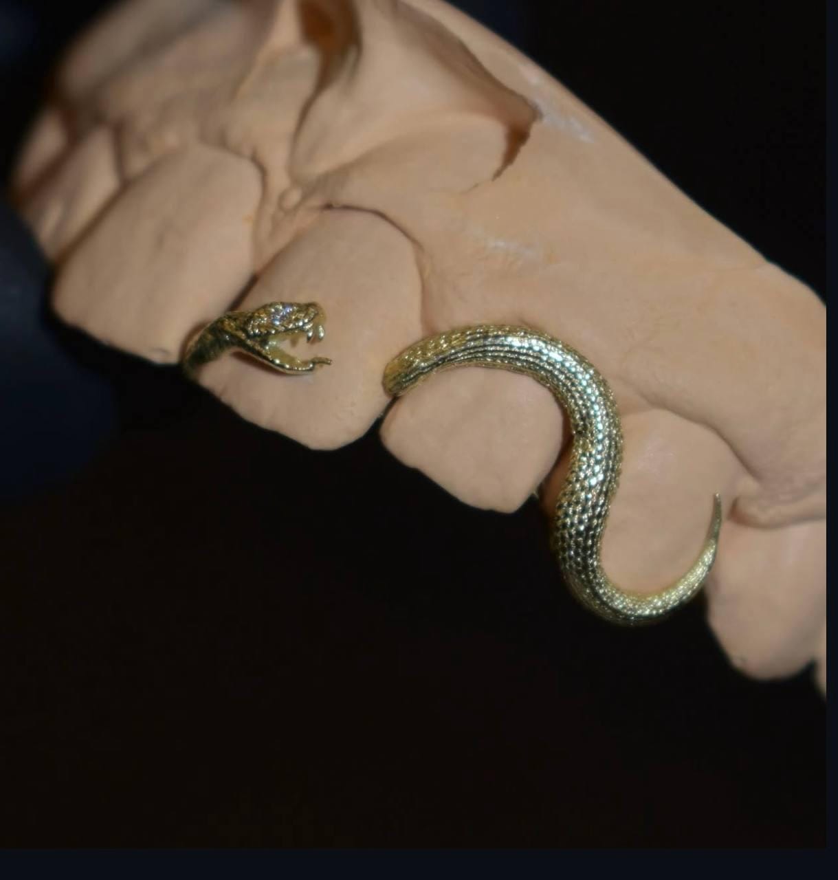 Custom Snake Grillz: Silver or Gold Snake Teeth Grill - CAD Design