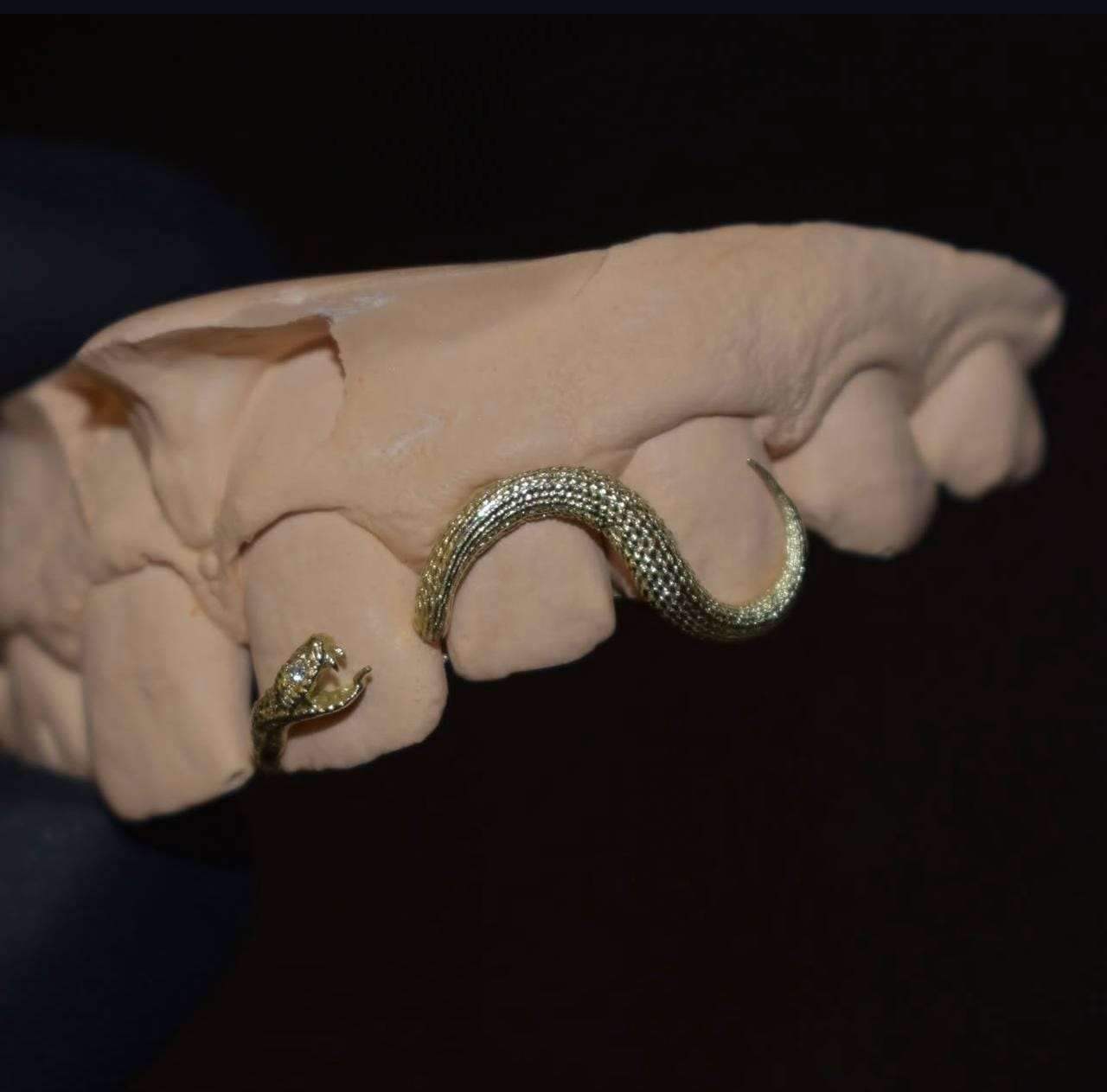 Custom Snake Grillz: Silver or Gold Snake Teeth Grill - CAD Design