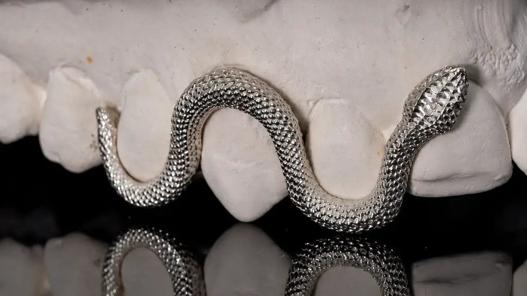 A silver snake-shaped ring wrapped around a white animal molar, shown against a black background with a reflective surface below.