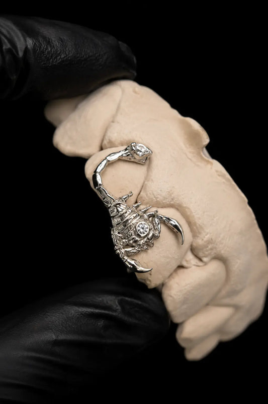 Silver custom scorpion grillz with CAD-designed luxury detailing on a black background