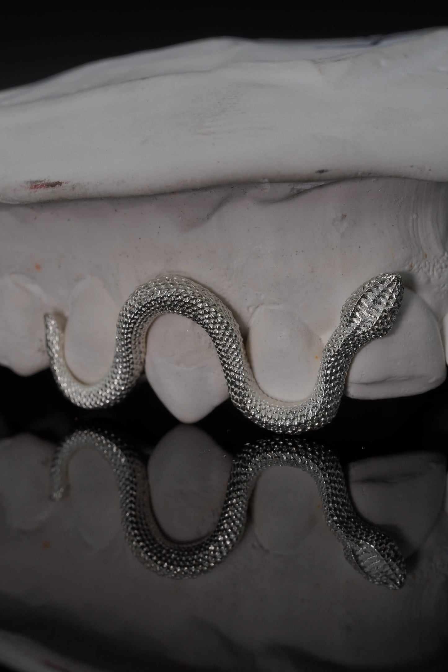 Custom Snake Grillz with sculpted serpent detailing handcrafted in sterling silver or solid gold.