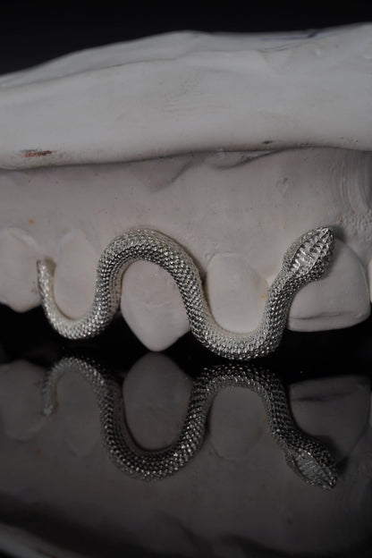 Custom Snake Grillz with sculpted serpent detailing handcrafted in sterling silver or solid gold.