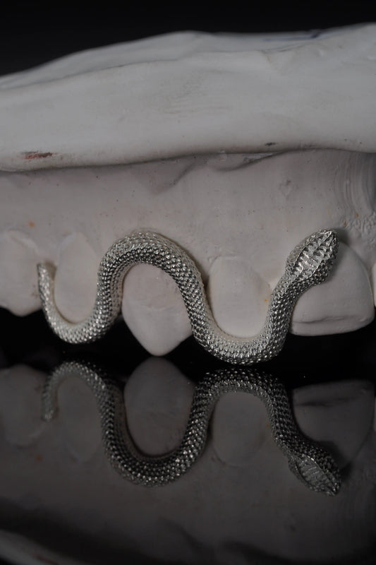 Custom Snake Grillz with sculpted serpent detailing handcrafted in sterling silver or solid gold.